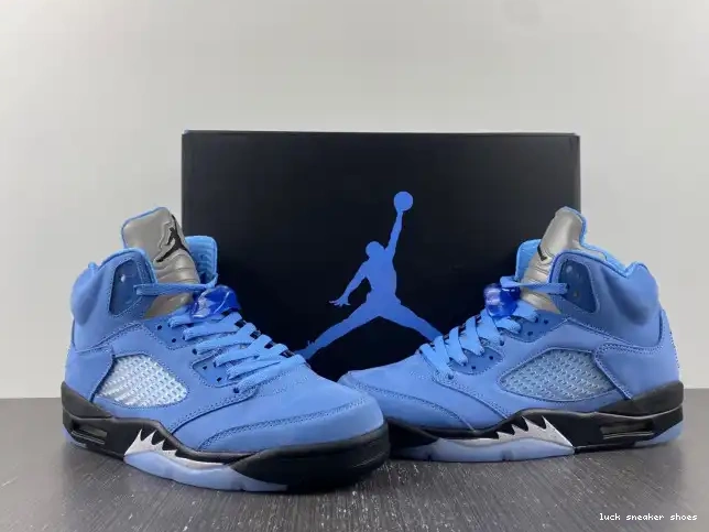 Rep LUCY 5 Jordan UNC DV1310-401 Air 0508